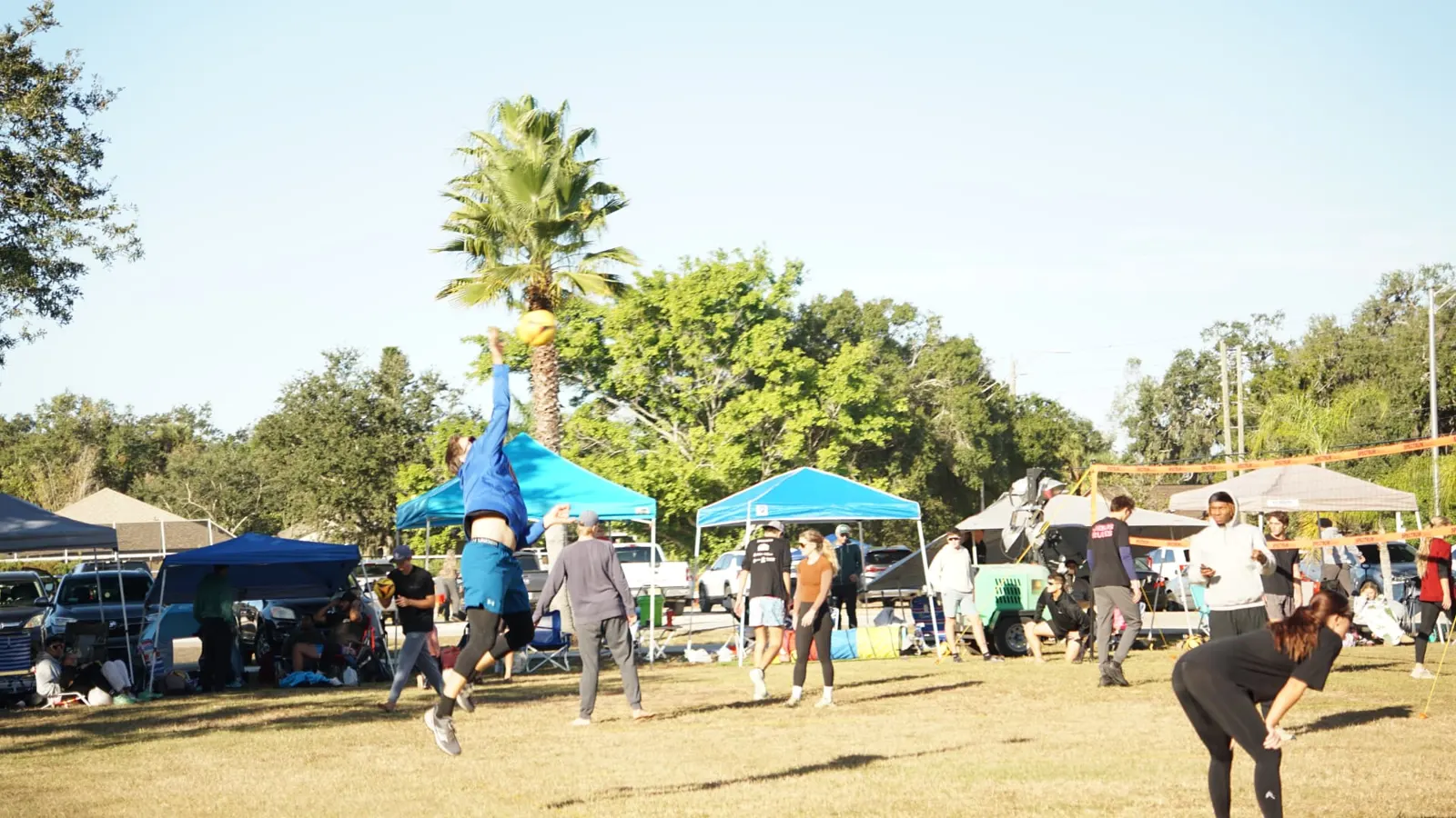 A player leaps to spike under the palm trees